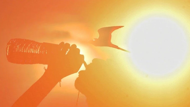 Ο πλανήτης «φλέγεται»: «Βράζει» η Πορτογαλία, έλιωσε η άσφαλτος στην Ολλανδία – Χαλάζι στη Σαρδηνία – Και… τυφώνας σε πορεία σύγκρουσης με ηφαίστειο